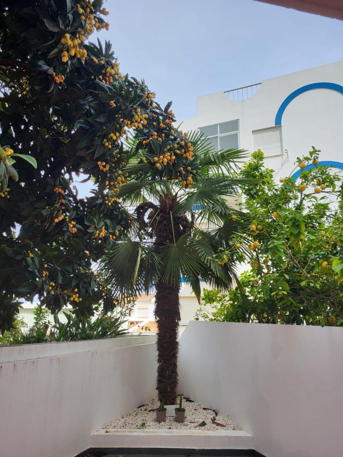 Hostelccportimao